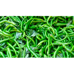 Chillies, Cayenne - Red or Green 100g